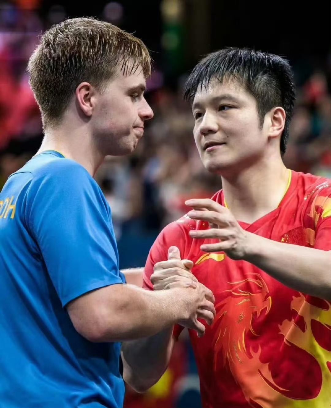 法国队力克葡萄牙队,樊振东惊艳四座 法国队力克葡萄牙队,樊振东惊艳四座