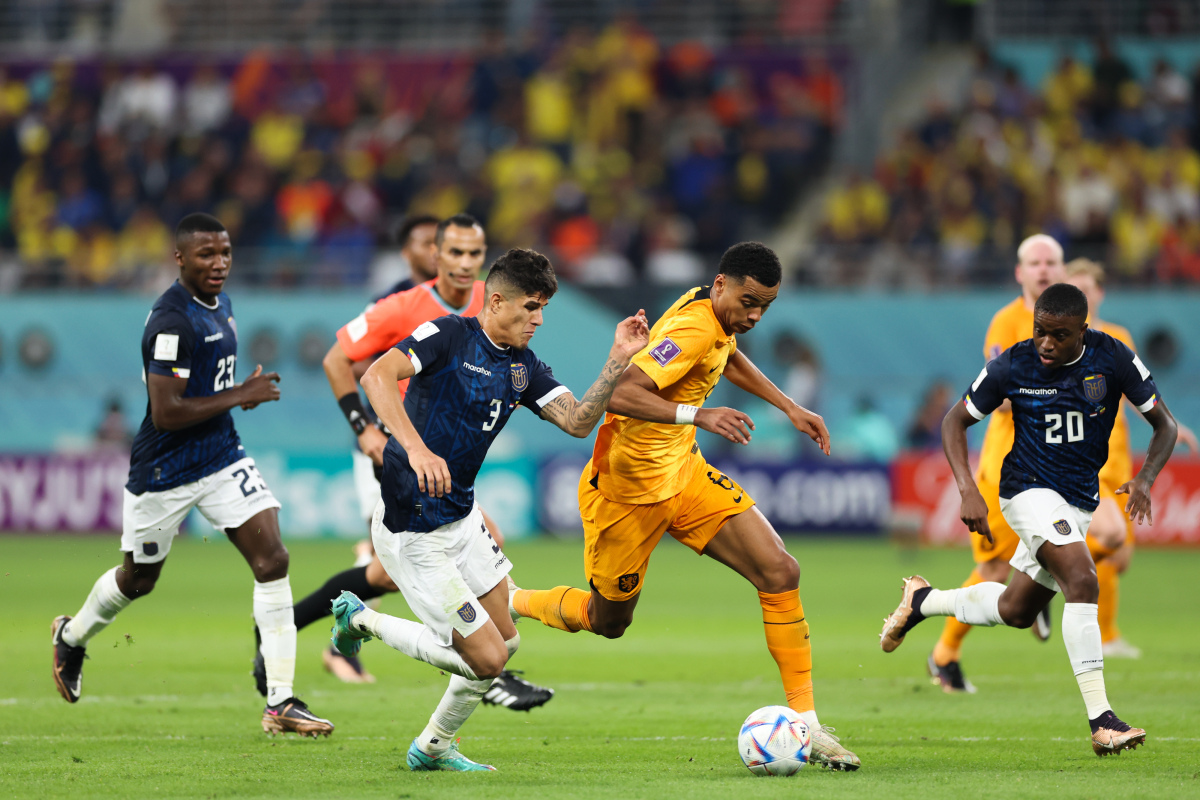 开云体育官网-加拿大爆冷淘汰荷兰队