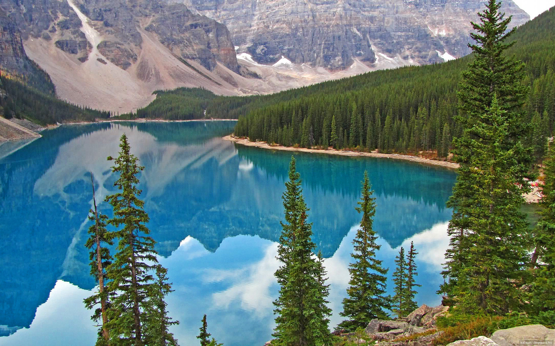 开云体育APP下载-武切维奇末节狂飙定乾坤，广厦一波流带走雄鹿彰显团队韧性